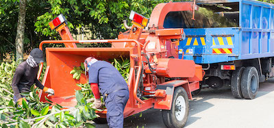 tree service in Lincoln, NE